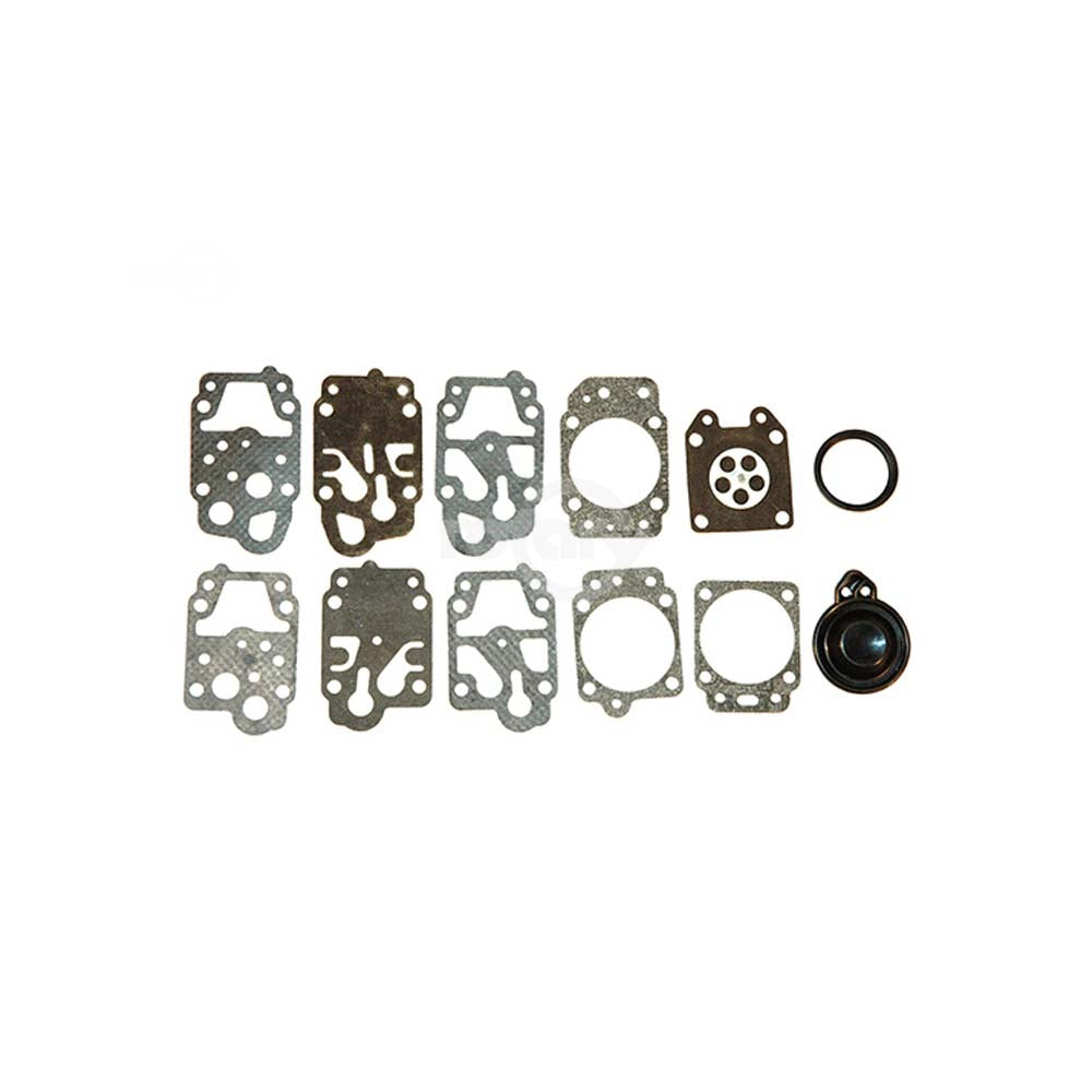 15089 - Gasket & Diaphragm Kit