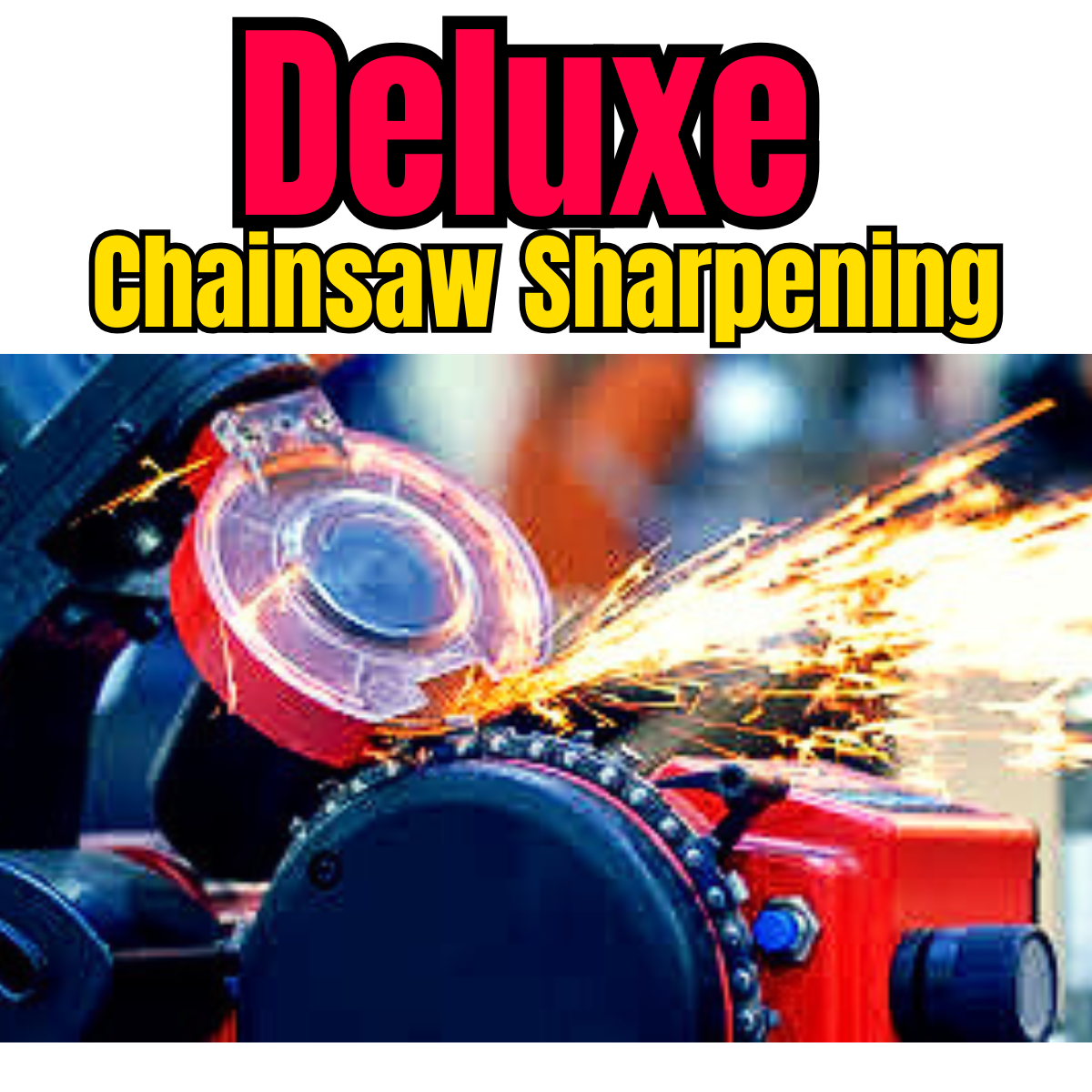 Chainsaw Chain Sharpening –Deluxe
