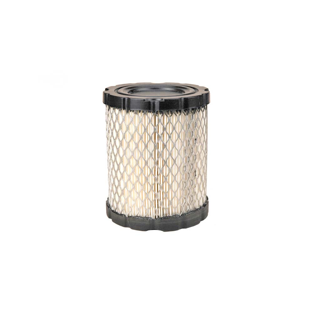 14289 - Air Filter For B&S