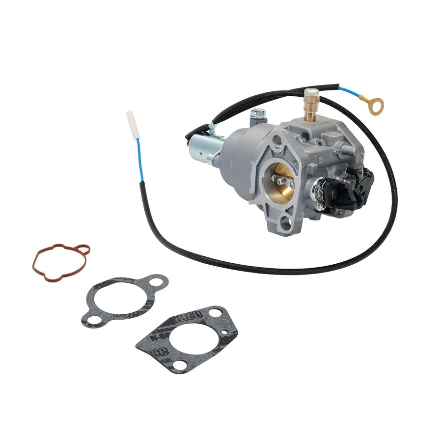 CARBURETOR KIT (4DW) 136-7826